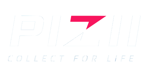 PiziiToys